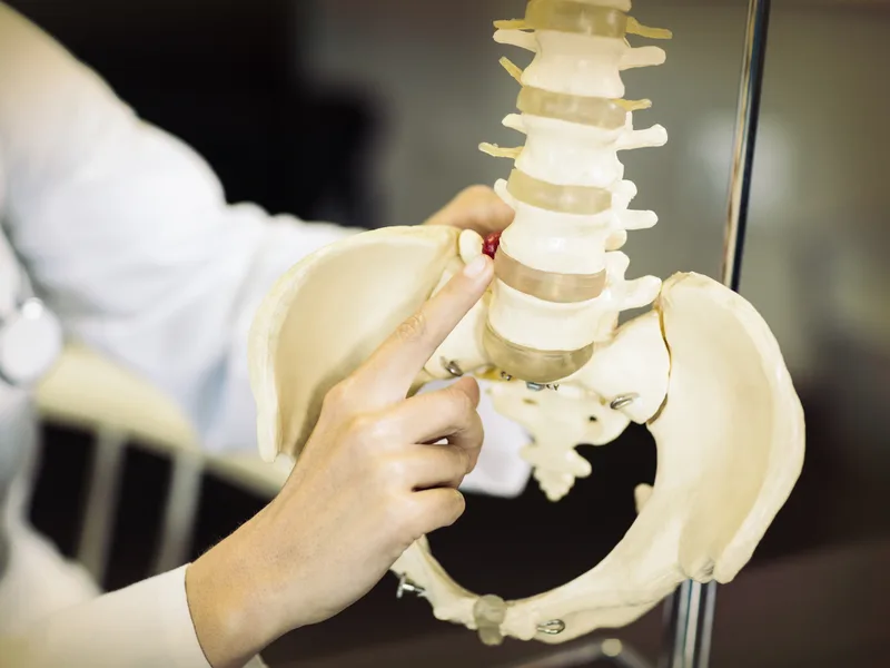 Gonstead Technique at Sarasota Auto Injury Clinic in Sarasota